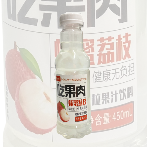 Bebida de Fruta Sabor Lichia com Mel e Nata de Coco 450ml