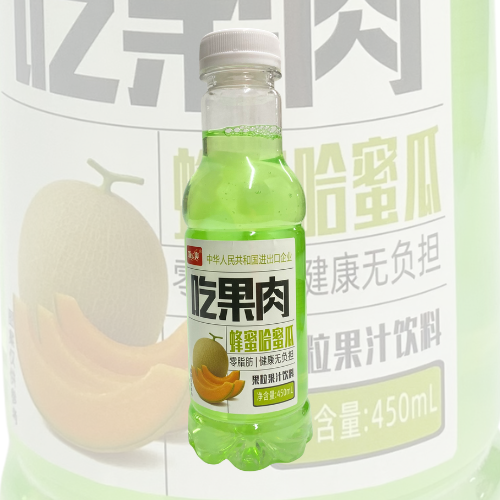 Bebida de Fruta Sabor Mel�o com Mel e Nata de Coco 450ML