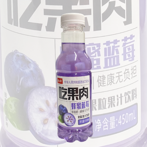 Bebida de Fruta Sabor Mirtilo com Mel e Nata de Coco 450ML