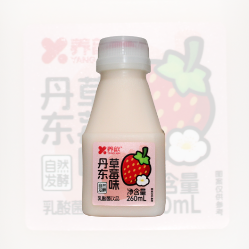 Leite Fermentado Sabor Morango 260ml