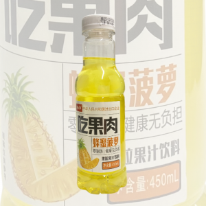 Bebida de Fruta Sabor Abacaxi com Mel e Nata de Coco 450ML