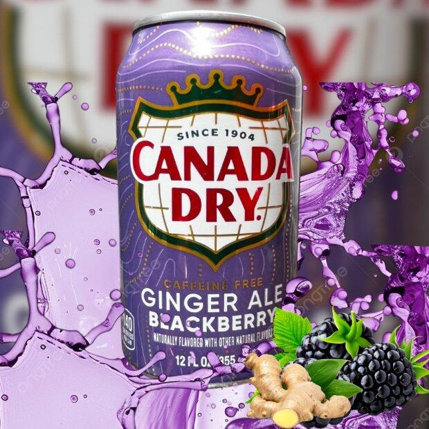 Canada Dry Blackberry Ginger Ale 355ml